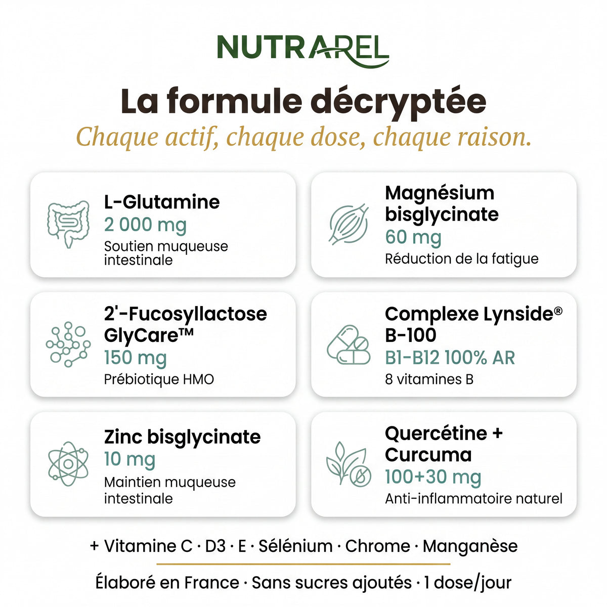 Formule décryptée Armonia Nutrarel : L-Glutamine 2000mg, 2'-Fucosyllactose GlyCare 150mg, Magnésium bisglycinate, Zinc, Complexe Lynside B-100 — actifs pour le confort digestif
