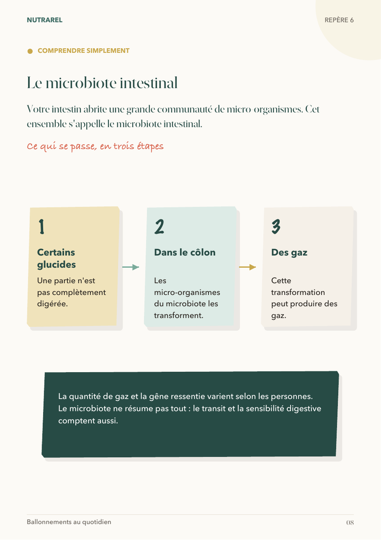 Comprendre le microbiote sans jargon